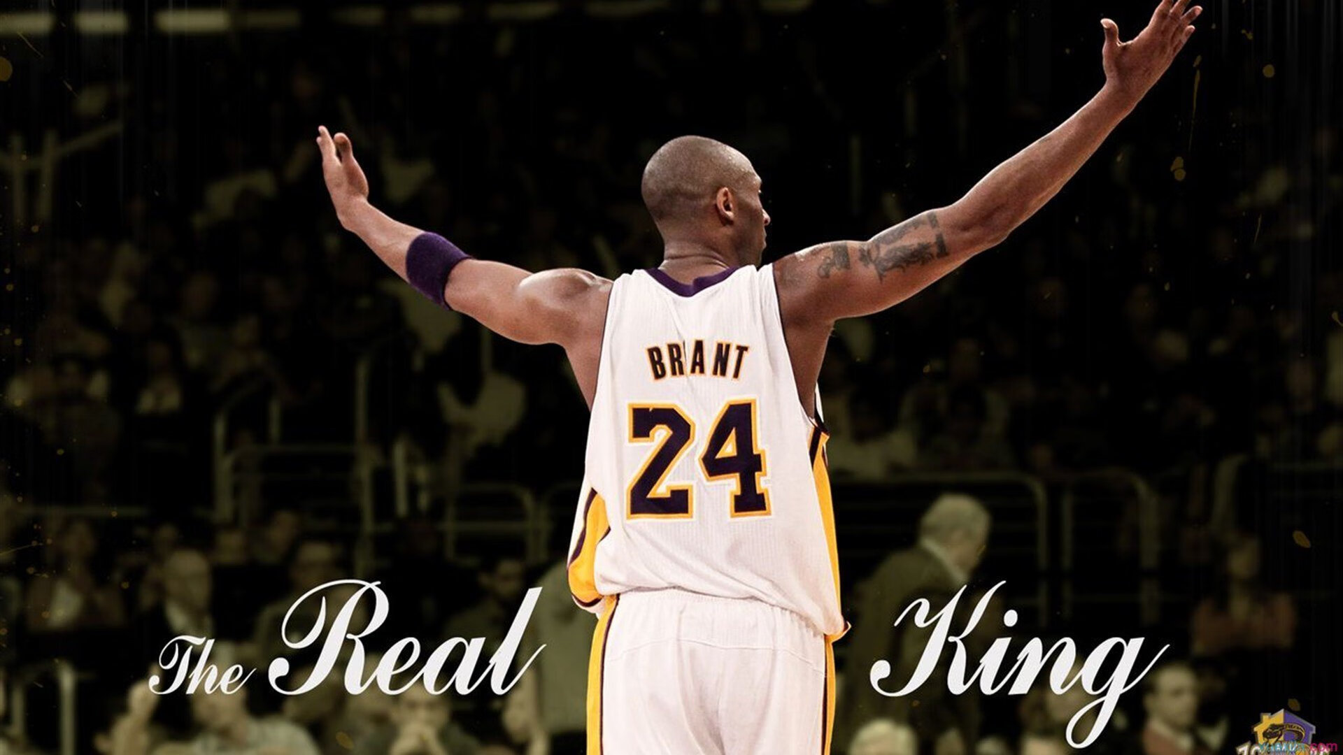 开云体育登录-F1新赛季揭幕战之夜，贝恩让比赛提前失去悬念